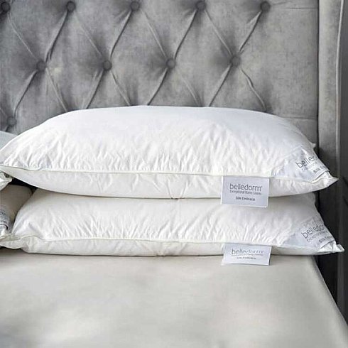 Silk Embrace Pillows